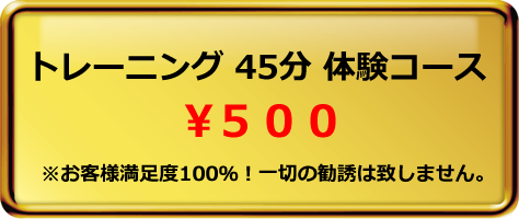 体験トレーニング 500円
